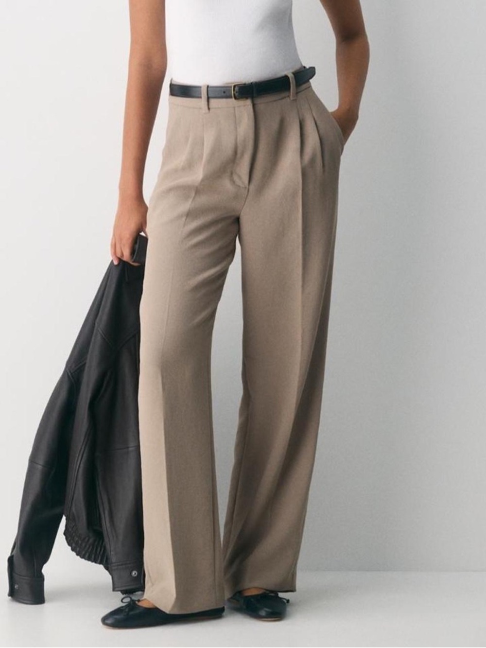 Aritzia Babaton Pleated Pant High-waisted pants Taupe